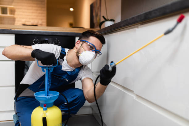 Best Emergency Pest Control  in Crockett, CA