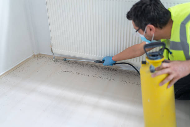 Best Commercial Pest Control Services  in Crockett, CA